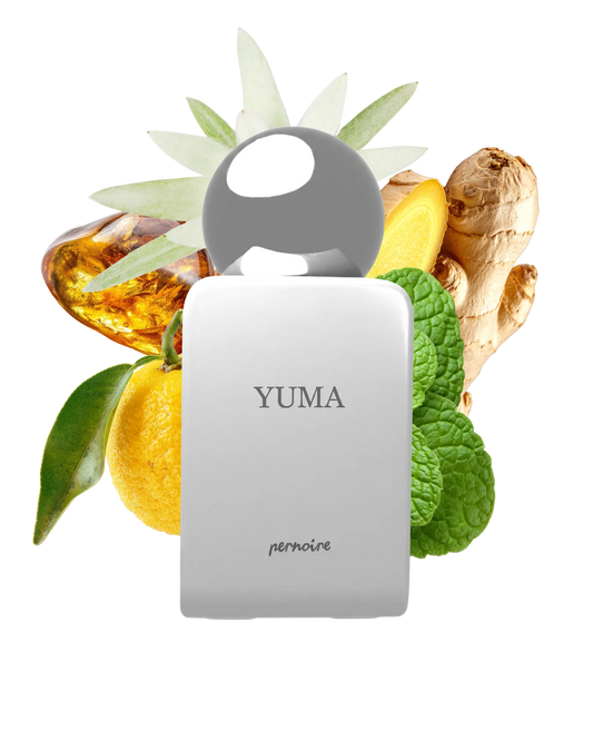 Pernoire Yuma