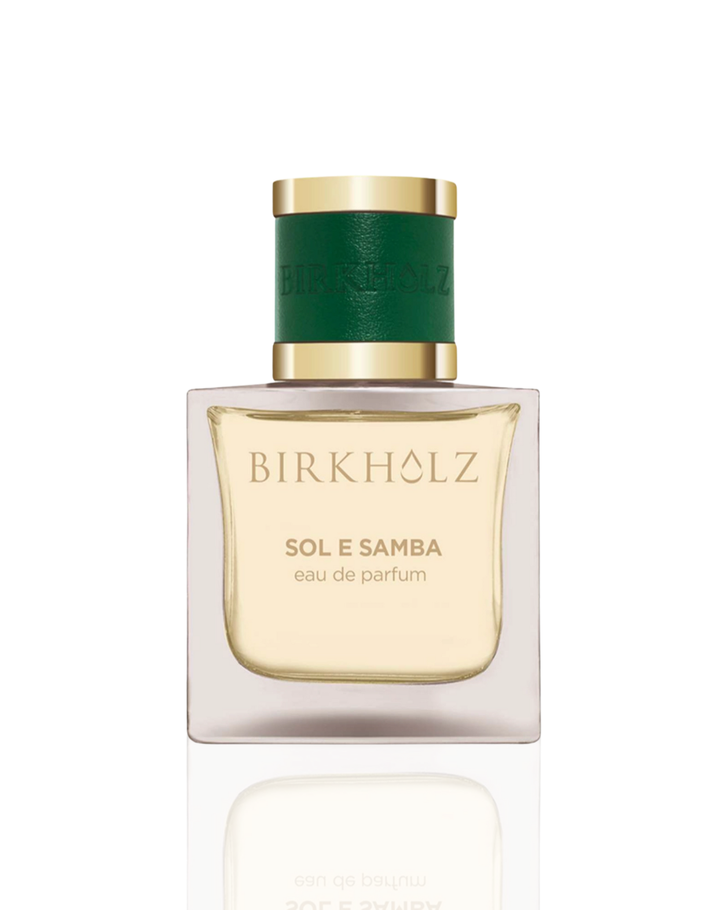 Birkholz Sol e Samba