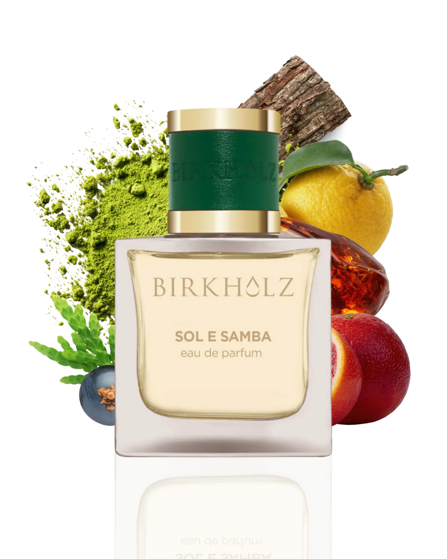 Birkholz Sol e Samba
