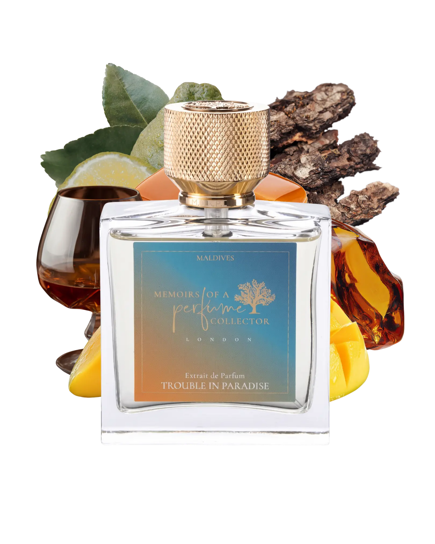 Memoirs of a Perfume Collector Trouble in Paradise